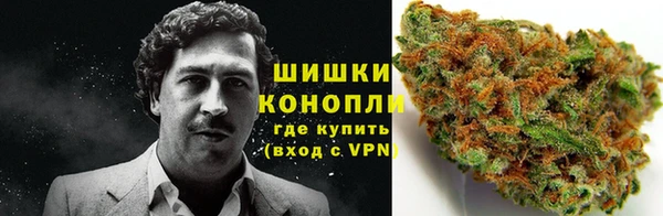 гидропоника Ладушкин