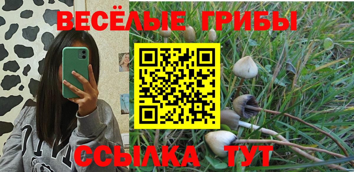 Псилоцибиновые грибы Psilocybe  Вход с VPN  Янаул 