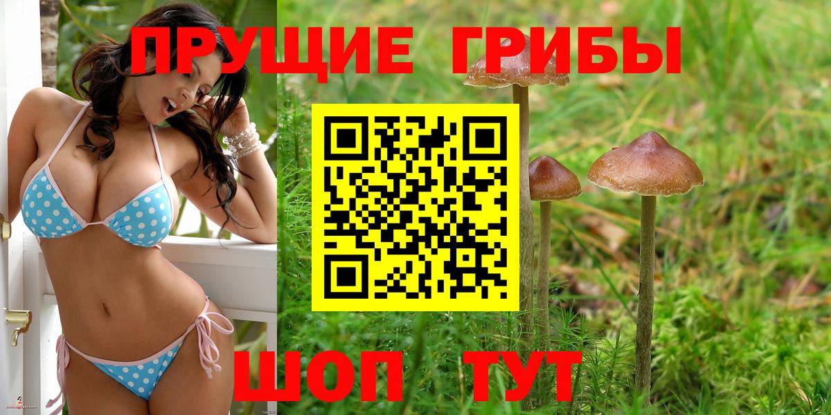 Галлюциногенные грибы GOLDEN TEACHER Янаул