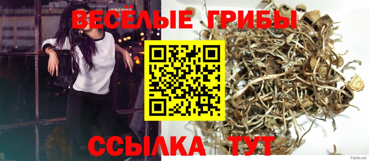 Галлюциногенные грибы MAGIC MUSHROOMS Янаул